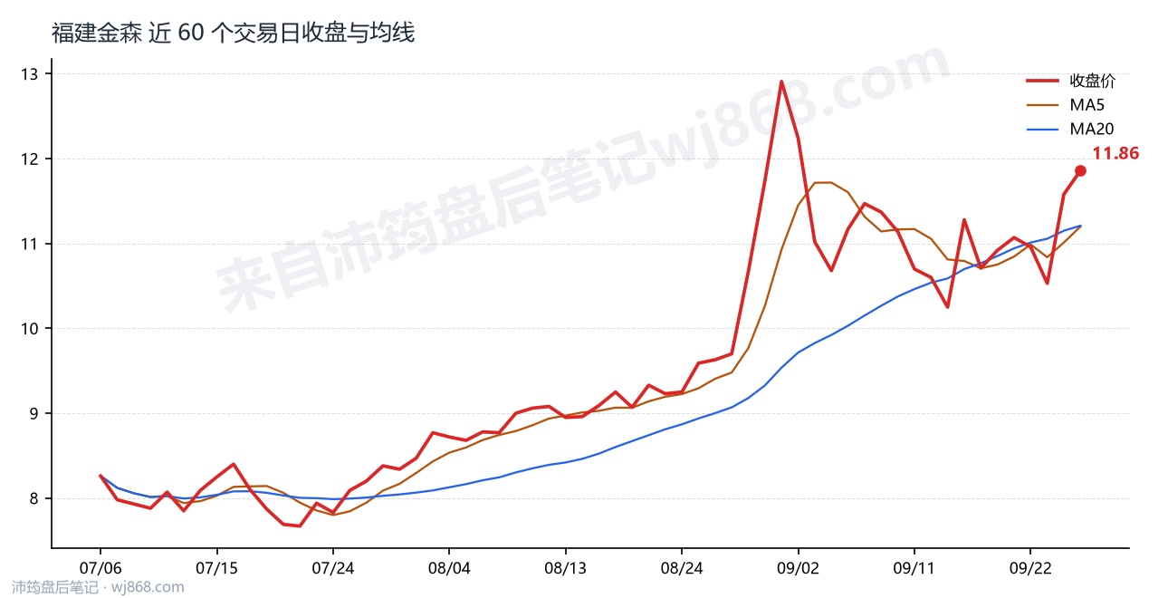 福建金森最新走势图