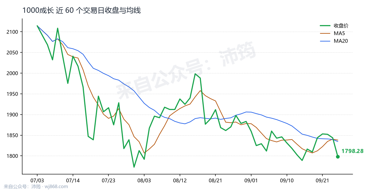 1000成长 走势
