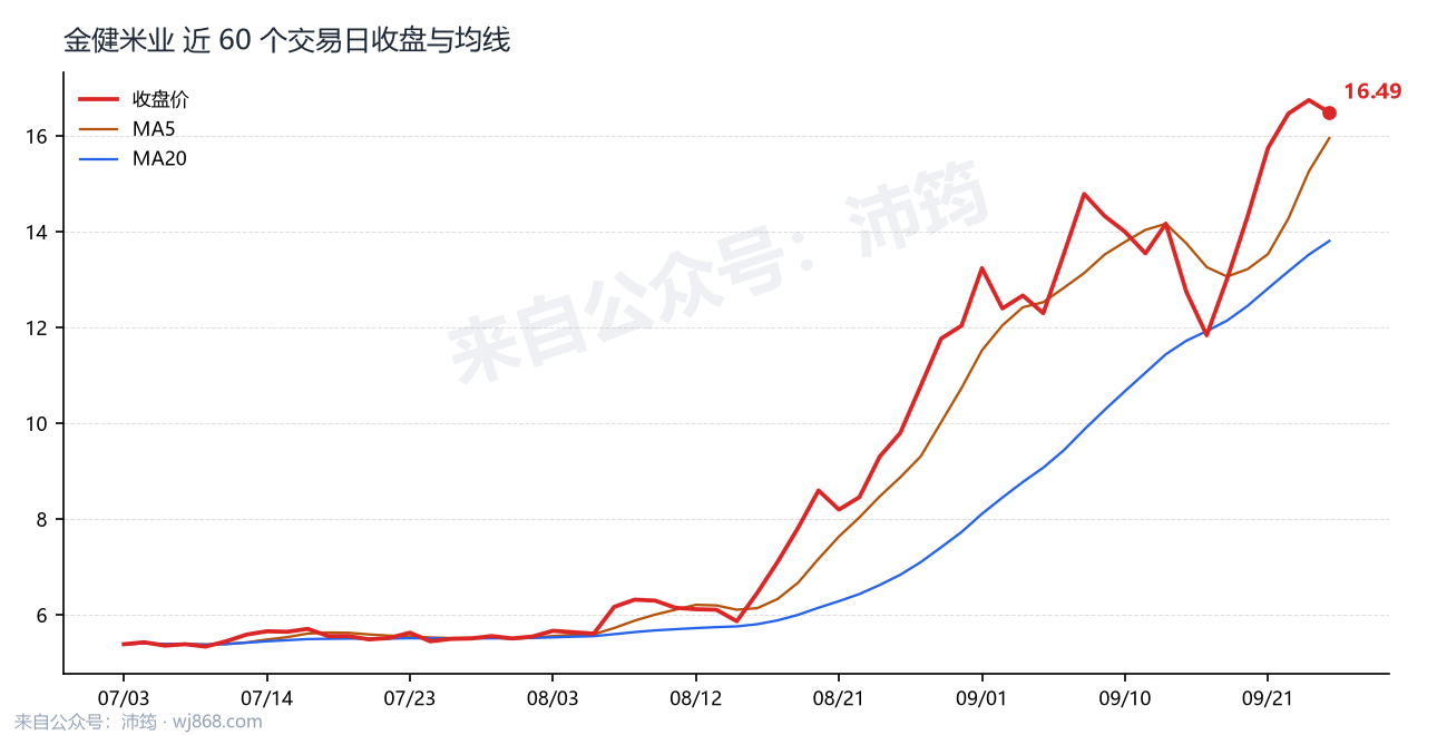 金健米业 走势